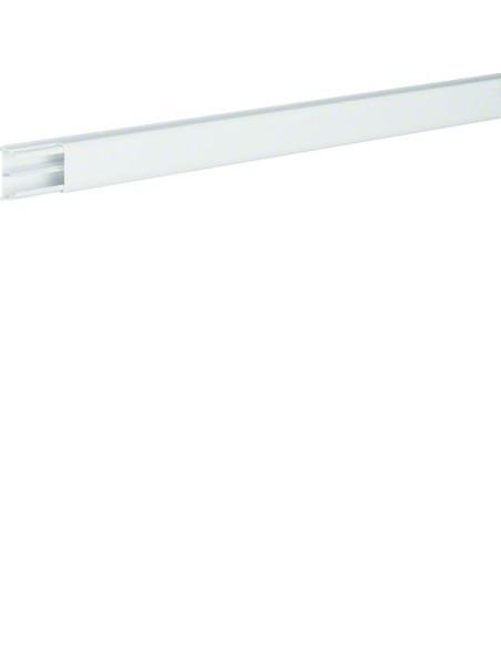 tehalit.ateha Kanał 12x20 L2,1m, 2 komory, biały ATA122019010 Hager