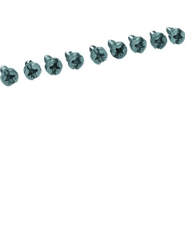 univers N Wkręty mocujące 1000szt. UZ06Z1 Hager